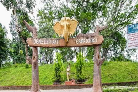 Dubare Elephant Camp - Sangameshwara Travels - Taxi Mangalore