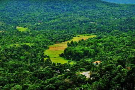 Coorg