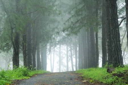 South India Honeymoon Packages - Sangameshwara Travels - Taxi Mangalore
